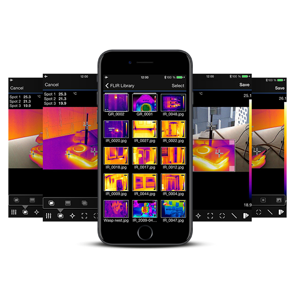 Software Termografía FLIR